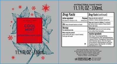Label Image (Cool Mint Scented Antibacterial Hand Wash Bzk 330 mL)